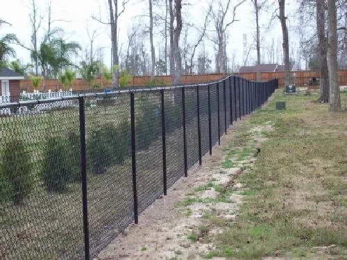 Long black chain-link fence running along a tree line